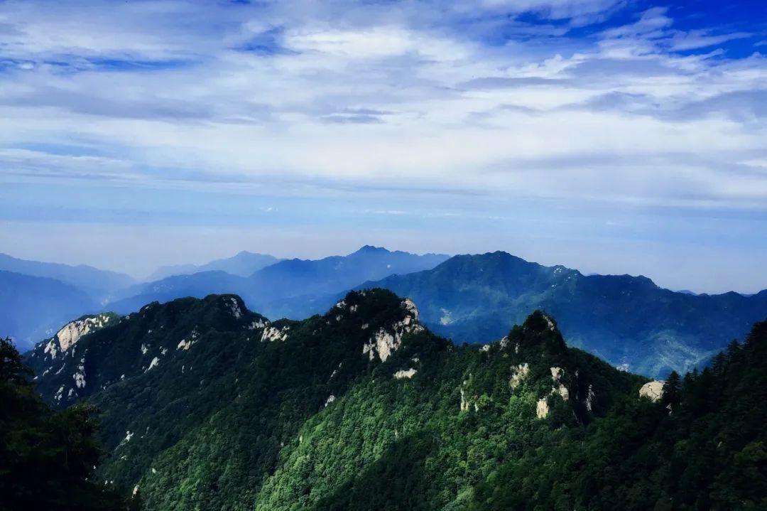 首次亚洲黑熊一家三口留影秦岭北麓