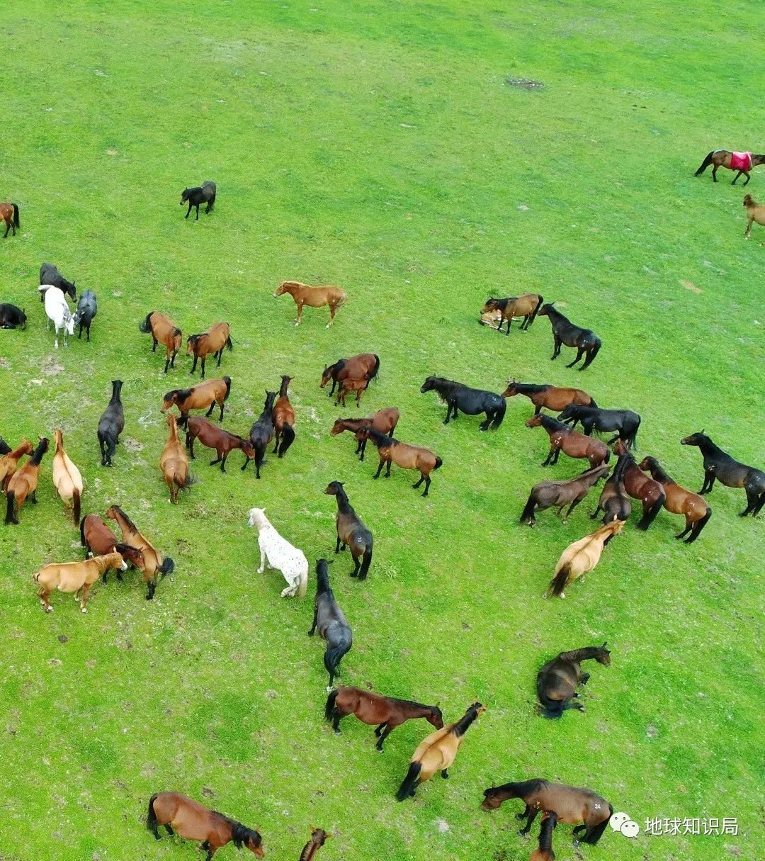 甘肃的“甘”究竟是哪里