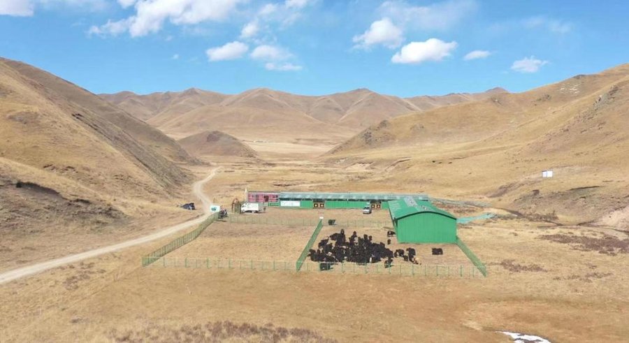 这是甘南藏族自治州碌曲县拉仁关乡唐科村的劳尔都良种牦牛养殖农民专业合作社全貌(受访者供图)