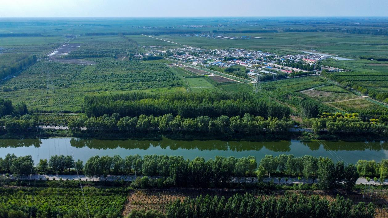 河北丰南：抒写乡村振兴宏大诗篇