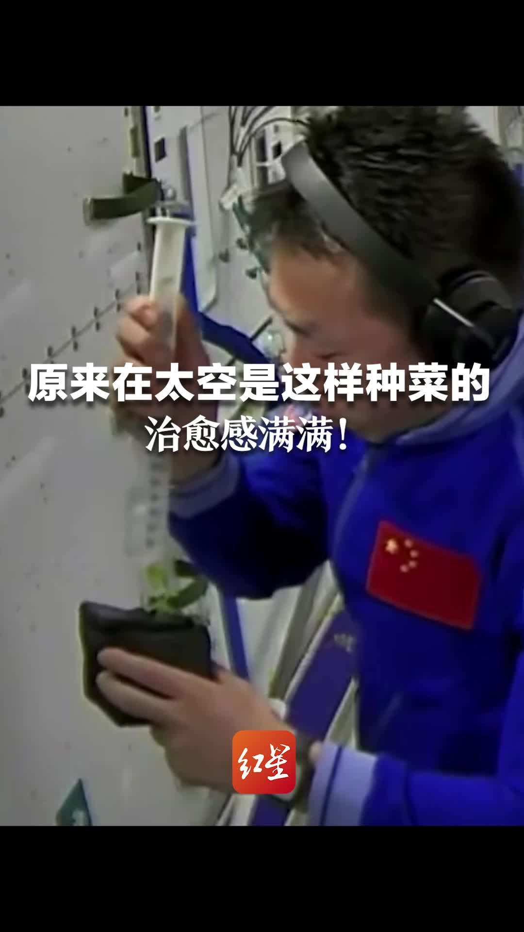 原来在太空是这样种菜的，治愈感满满