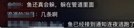 千万网友围观河南抓怪鱼:湖水快抽干 鱼没影了