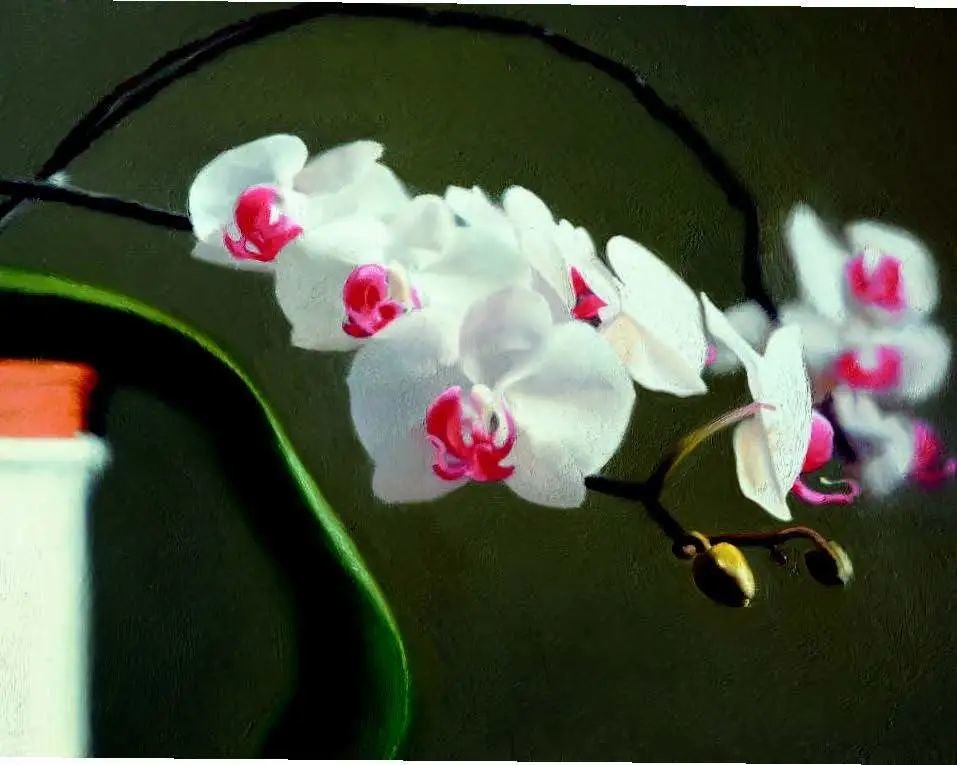 格哈德·里希特，《兰花》（Orchid），1997年