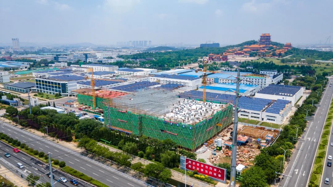 9亩土地上新增的40亿粒产能