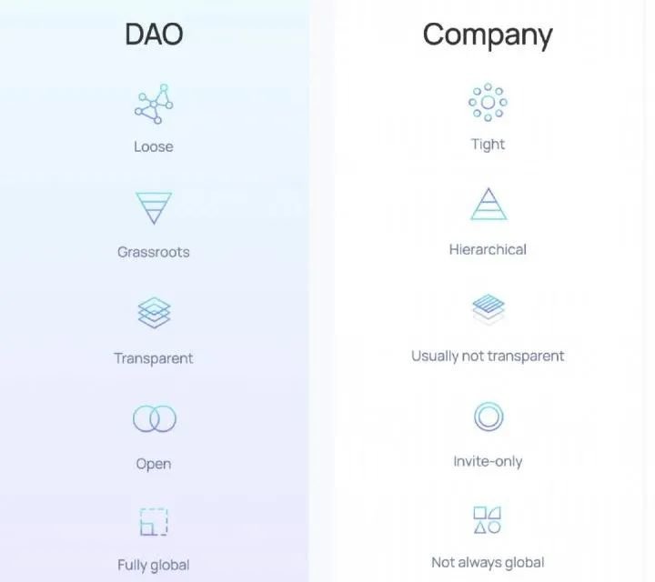 我在中关村 参加了一场4小时速成的Web3活动 第7张-心情说说 DAO和Company组织特点的对比