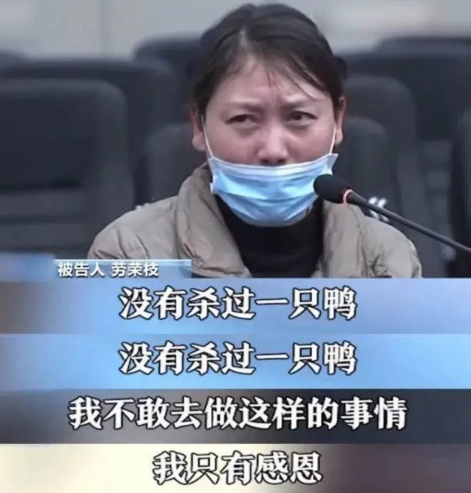 给劳荣枝洗白的人是怎么想的？