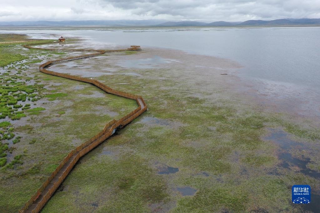 这是在甘肃省甘南藏族自治州碌曲县拍摄的尕海湖(无人机照片,2021年6月2日摄)新华社记者 杜哲宇 摄