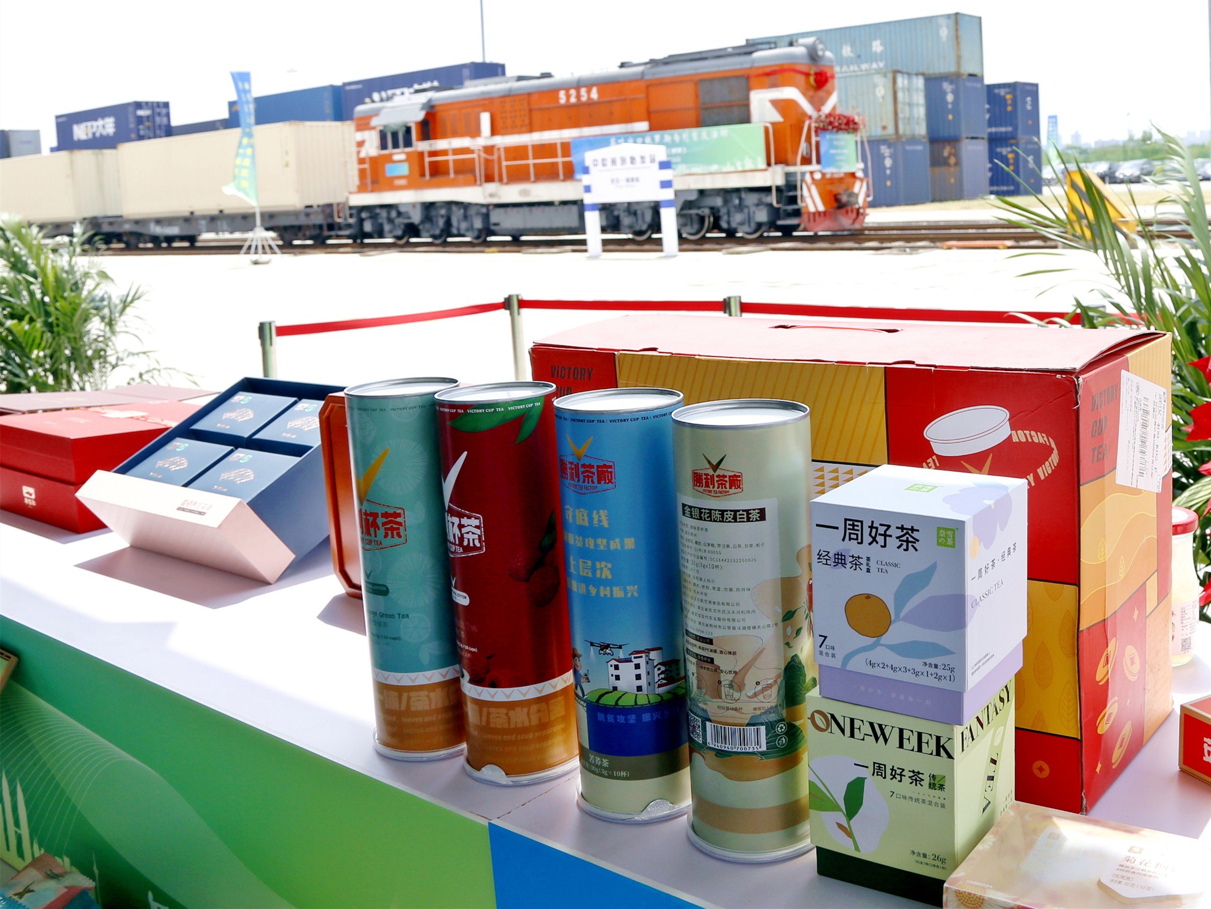 活动现场 (杨林 摄)