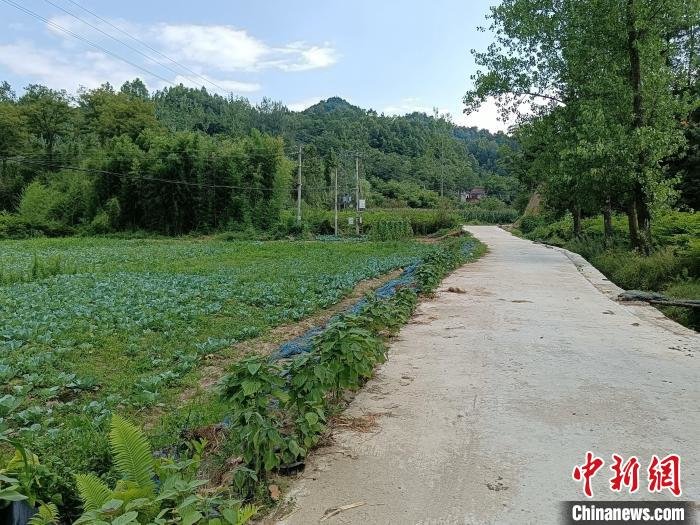 图为修路后的村道路。　段振枢 摄