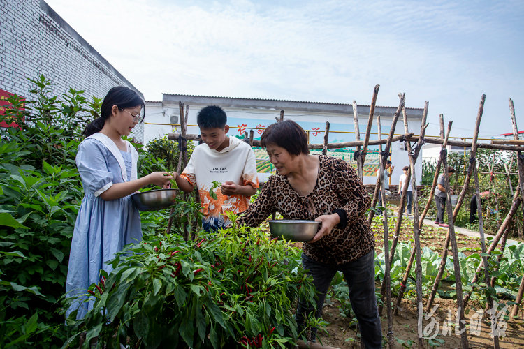 美丽乡村东高河1.jpg