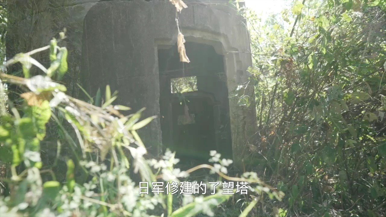 《凤凰聚焦》独家报道|寻访最后的“慰安妇”幸存者