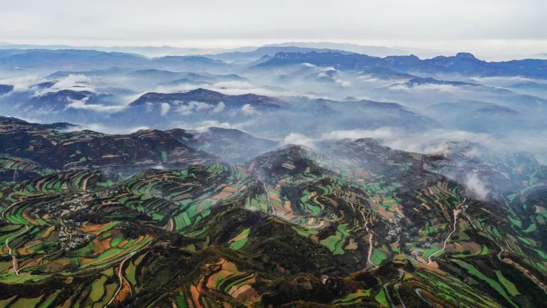 @贵清山云海 摄影：剑虹