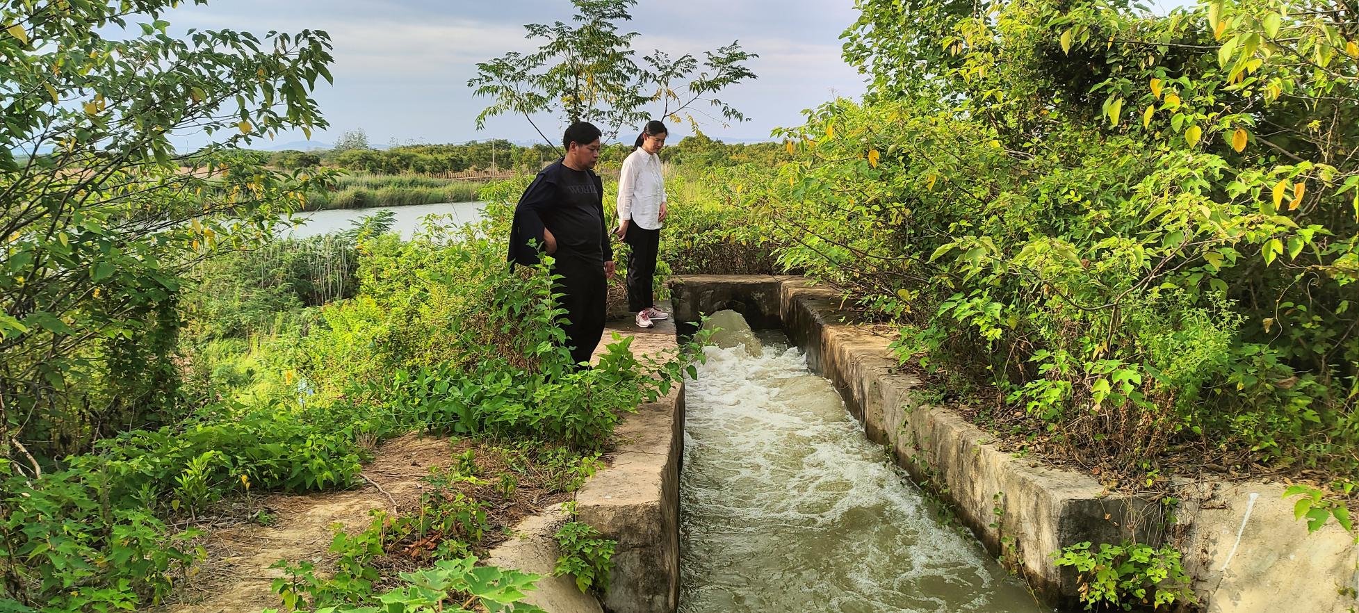 安徽庐江县盛桥镇:群策群力引水润民心