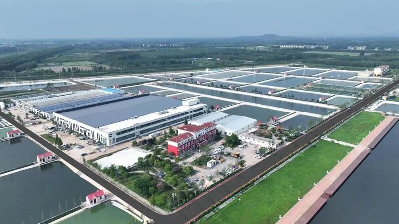机器人养鱼!济宁这家智慧渔业车间厉害了_凤凰网