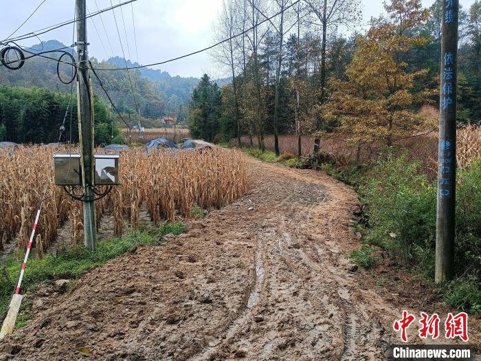 秦岭深处：一条路“唤醒”山村里的春天