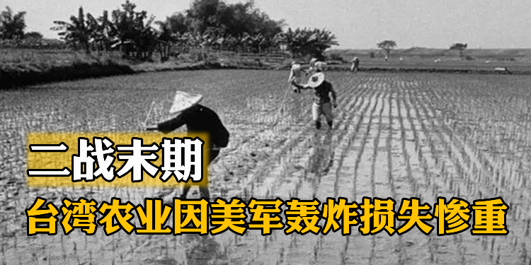 二战末期，台湾农业因美军轰炸损失惨重