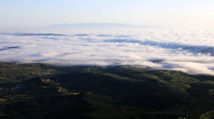 @渭源太白山 摄影：柳维军