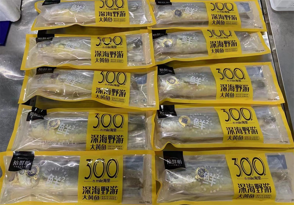 全球首款!“国信1号”工船养殖深海野游大黄鱼起鱼上市