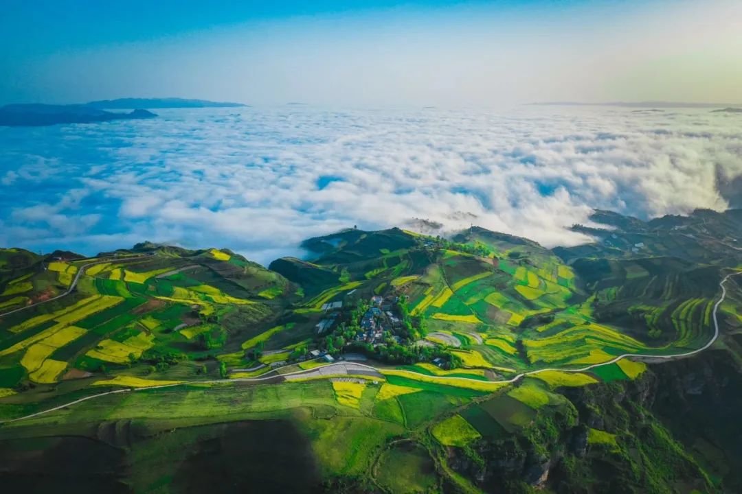 @贵清山云海 来源：网络