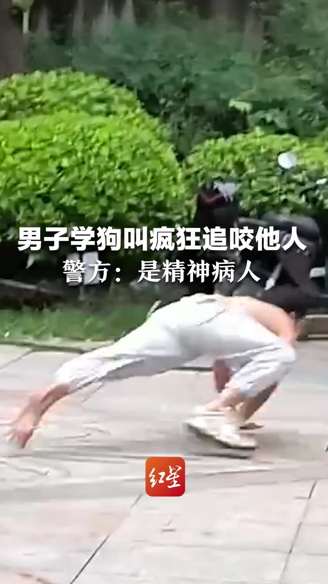 男子学狗叫疯狂追咬他人  警方：是精神病人 已送往医院治疗