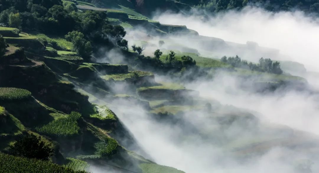 @陇西福星云海 摄影：刘月娥