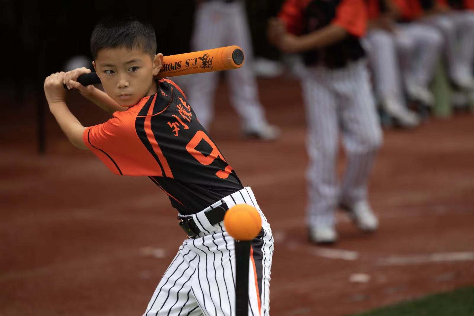 健全体魄 快乐成长丨2022年合肥市中小学"阳光体育运动"棒垒球比赛