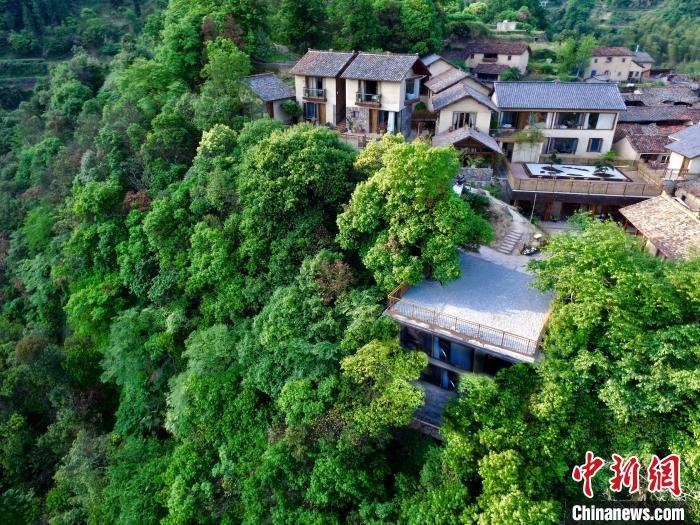 首部旅游民宿国标出台，“浙江经验”贡献几何？