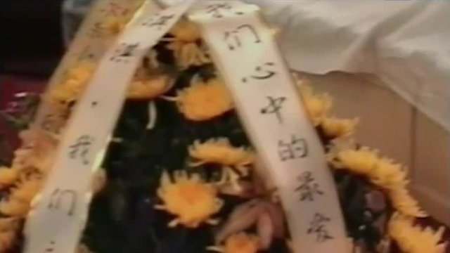 “淇淇”在白鳍豚馆生活22年后去世，长江古老生物最终绝迹