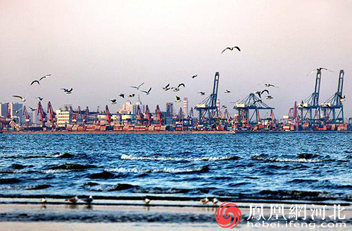 【港口雄开万里流&middot;看河北向海图强】秦皇岛港：“智慧”赋能，百年“港城”转型升级启新程