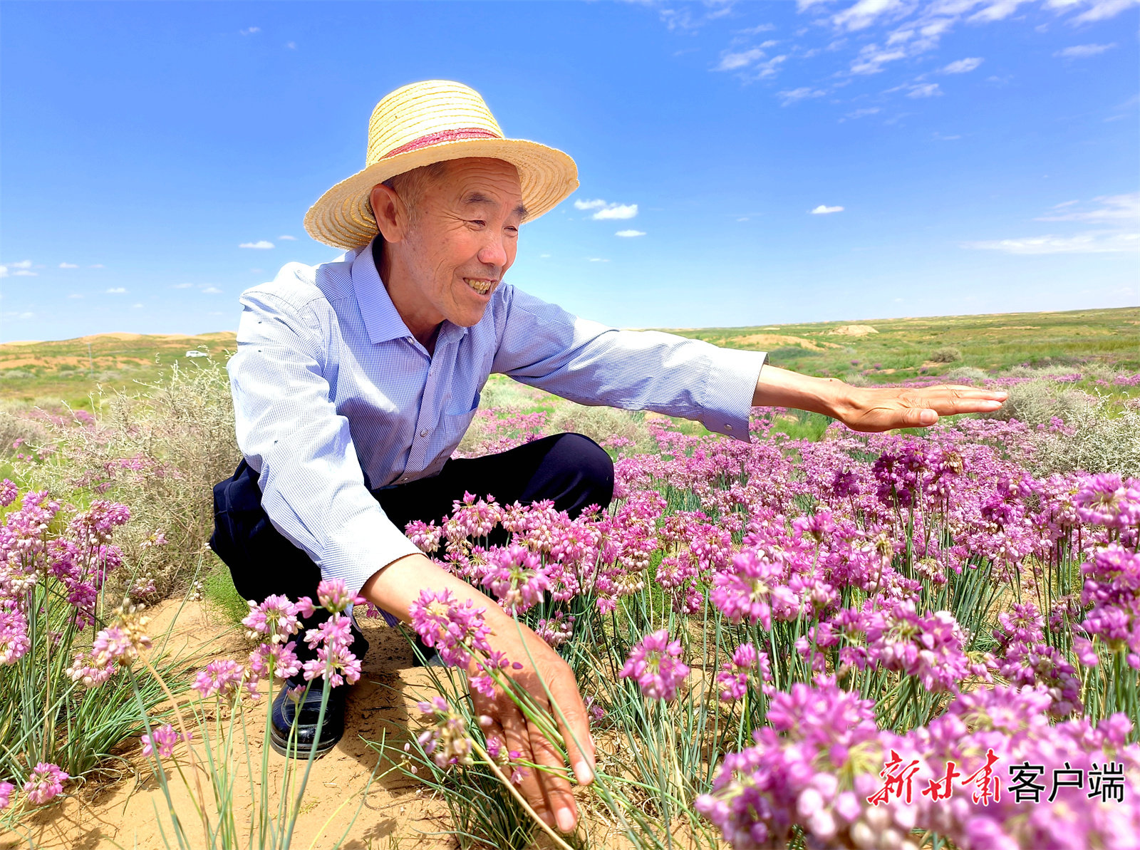 郭万刚向记者介绍野沙葱的分布情况 新甘肃&middot;甘肃日报记者 金奉乾 摄