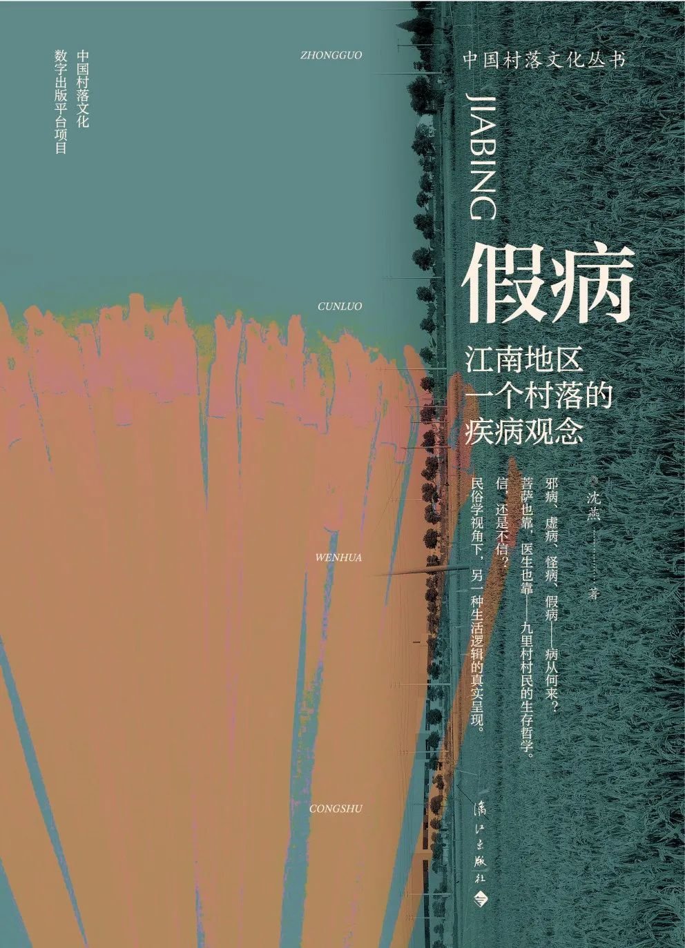 《假病：江南地区一个村落的疾病观念》，沈燕著，漓江出版社，2022年4月。