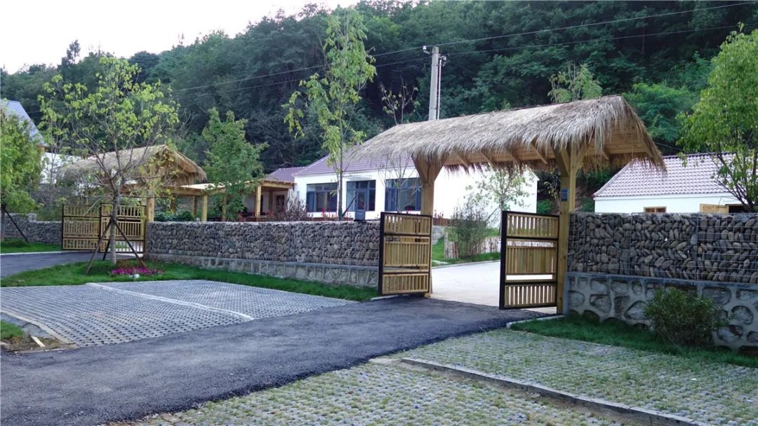 乡村振兴看辽源画乡绘梦见山望水惊艳好时光东丰县南屯基镇榆林农民画