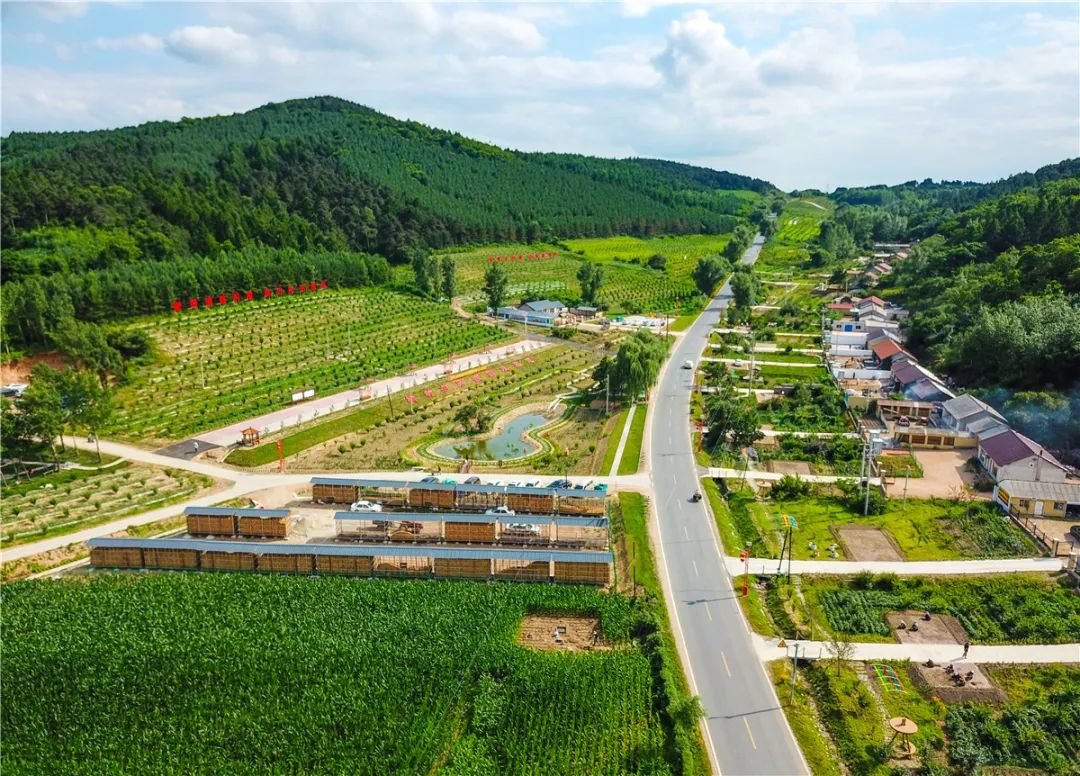 乡村振兴看辽源画乡绘梦见山望水惊艳好时光东丰县南屯基镇榆林农民画