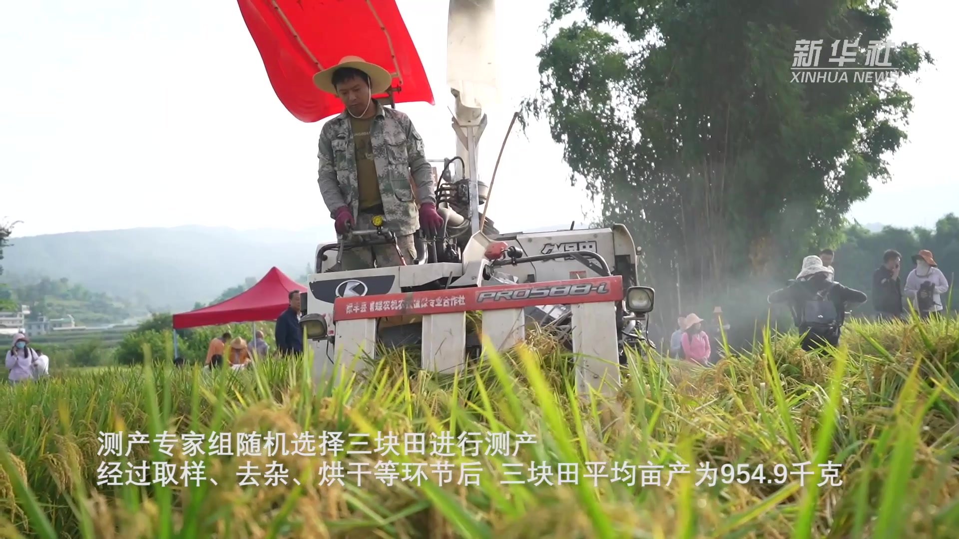 水稻新品种“楚粳54号”测产平均亩产达954.9千克