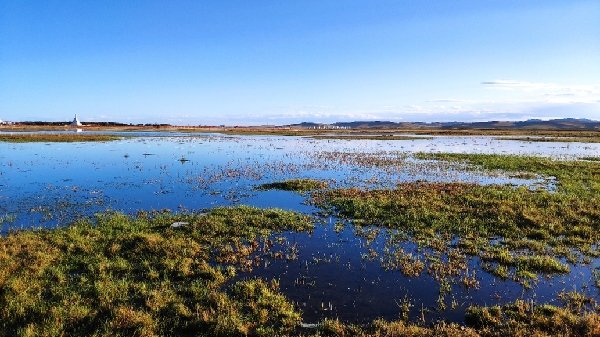 黄河上游一汪水 水从阿万仓来