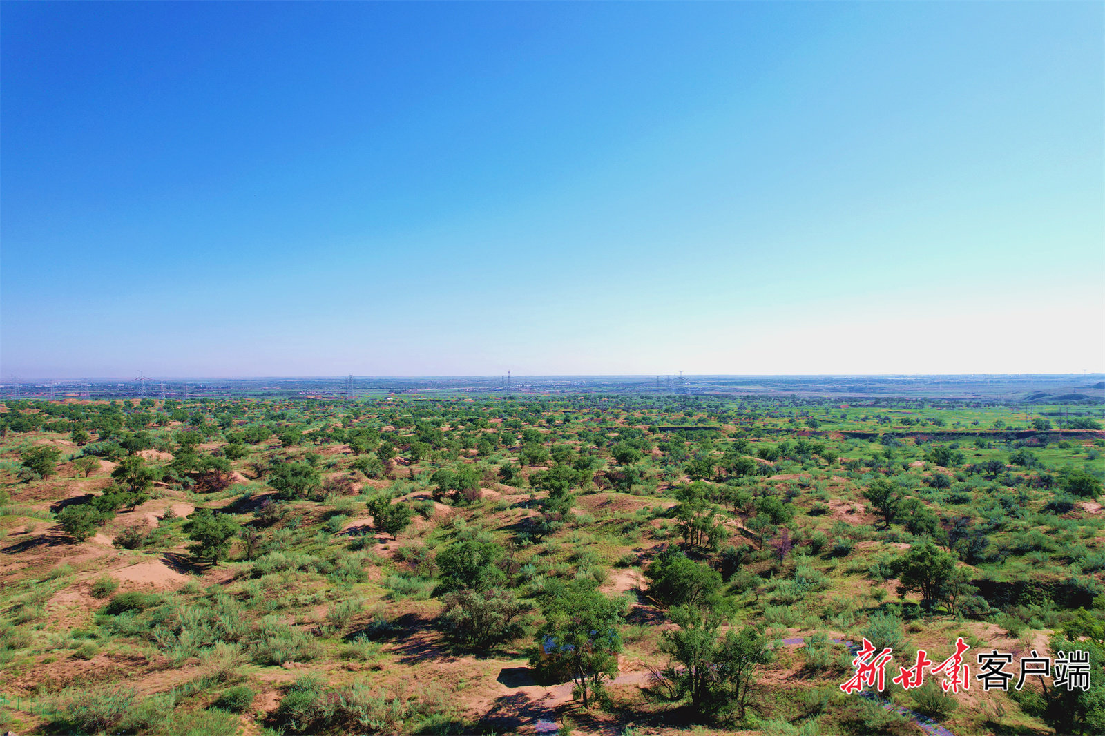 持续降雨“滋润”下，八步沙林场眼窝子沙治沙点草木葱茏，绿意盎然。新甘肃&middot;甘肃日报记者 金奉乾 摄