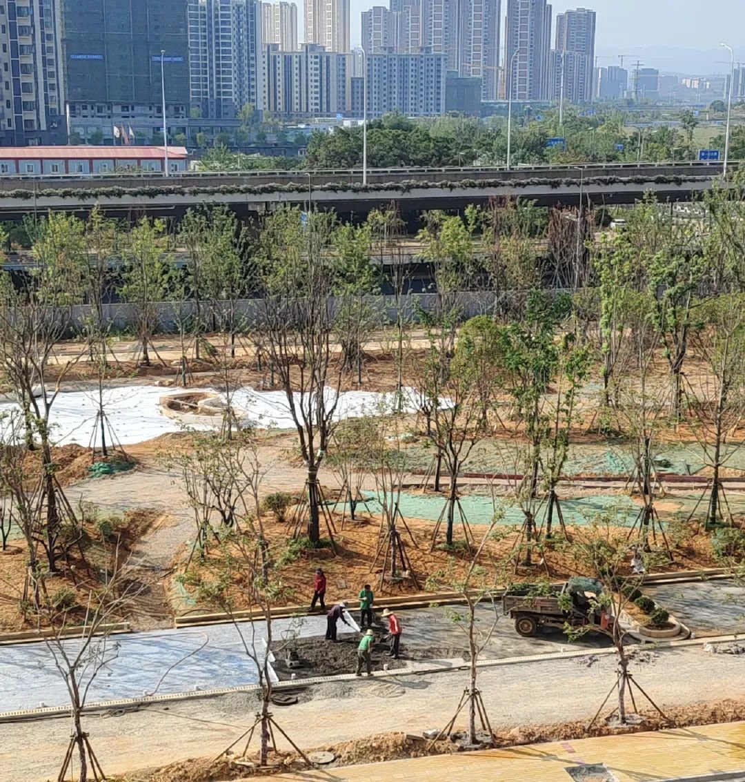 赣州正荣悦玺小区周边休息时间施工噪音大 居民吵得受不了