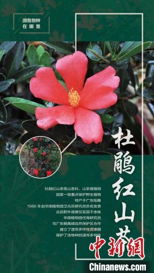 陈宜瑜院士：国家濒科委在履约国际舞台上贡献中国智慧