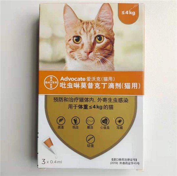 猫咪健康与疾病：科学诊疗的重要性