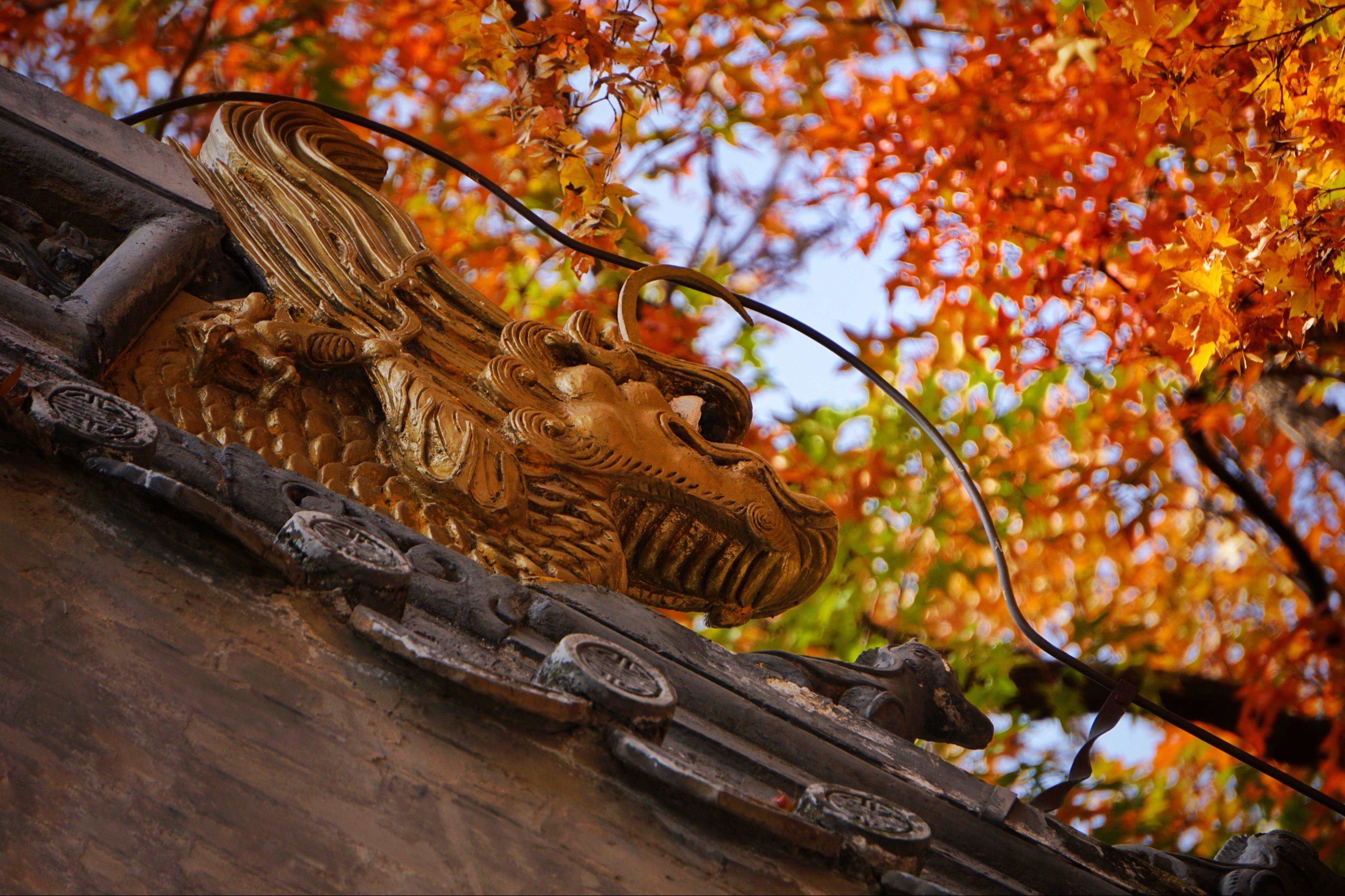 北京发布10条西山永定河文化带主题游线路_凤凰网