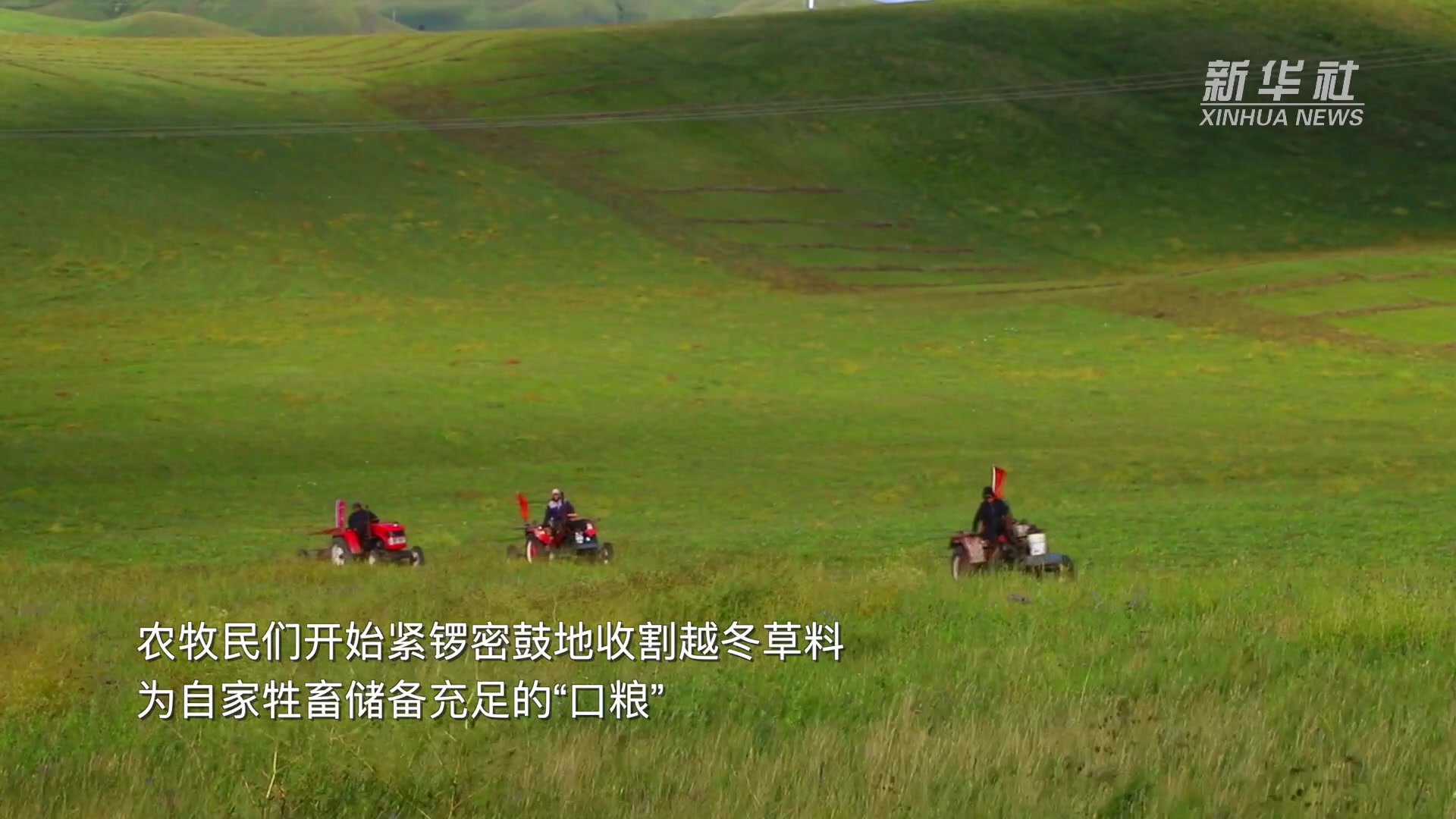 千城胜景｜草原打草季 弥漫秋草香