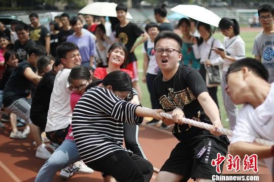 资料图：大学生参加拔河比赛。泱波 摄