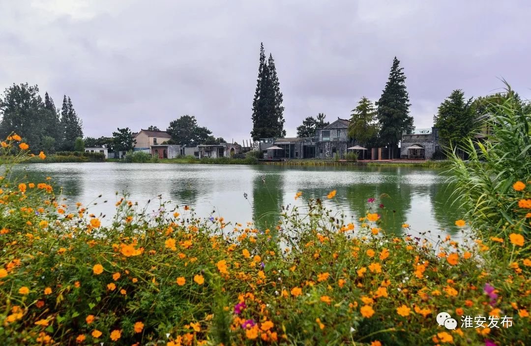 淮安市委书记陈之常调研金湖县:加快建设现代化水韵湖城凤凰网江苏_凤凰网