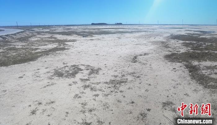 改良前原始地貌。(资料图) 中国科学院东北地理与农业生态研究所供图