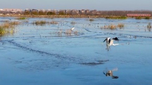 兴水记：水生万物