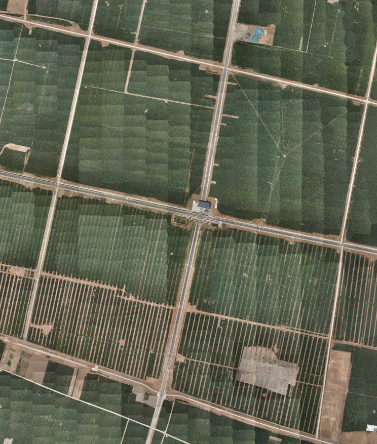 图3 安阳县瓦店乡广润坡示范区正射影像图