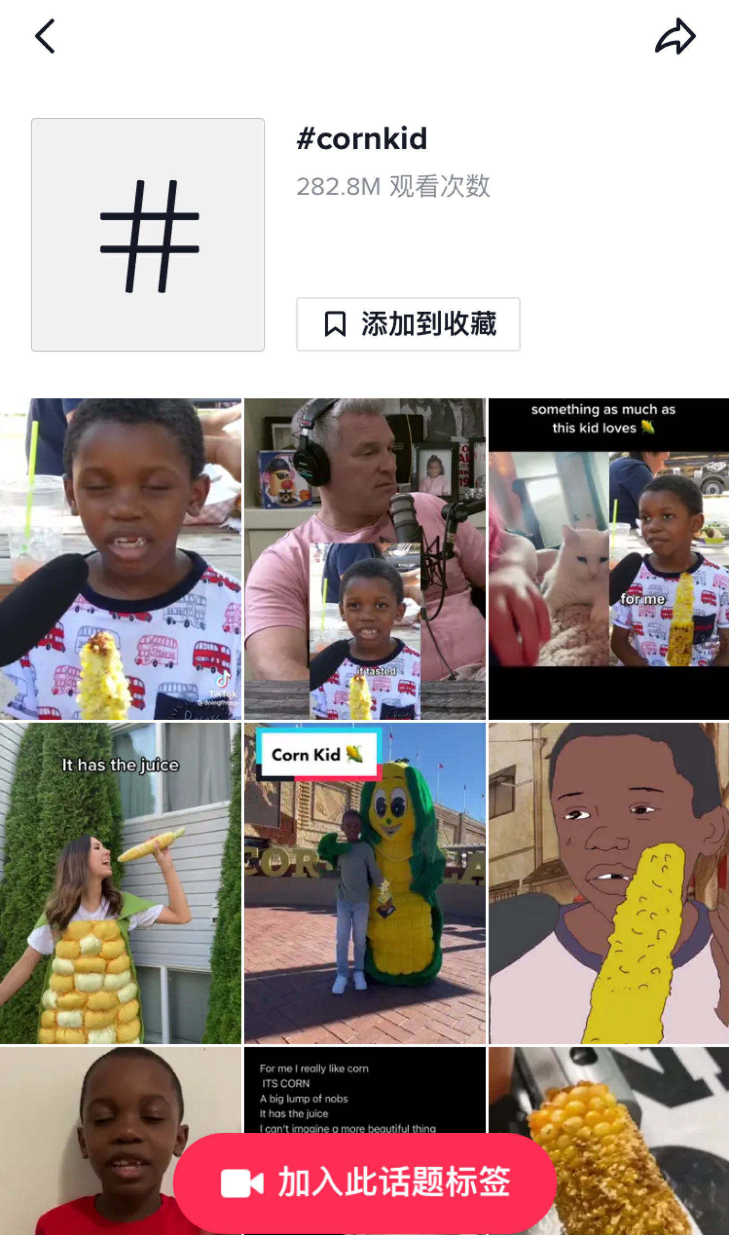 TikTok上,玉米小子相关视频播放量接近3亿次
