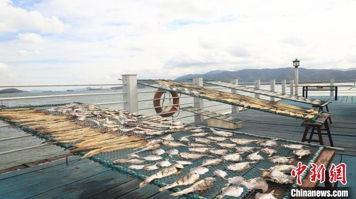 秋风起晒鱼鲞浙东渔村“晒秋”晒出共富新愿景