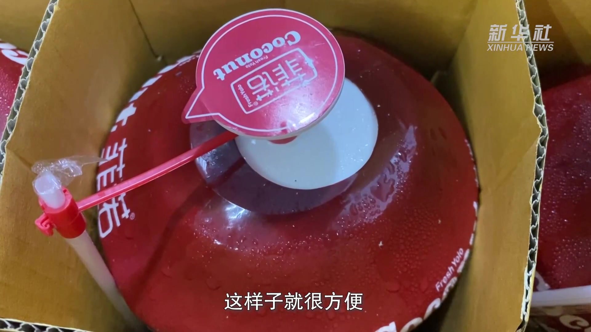 新华全媒+｜从香水椰看中国—东盟水果贸易前景