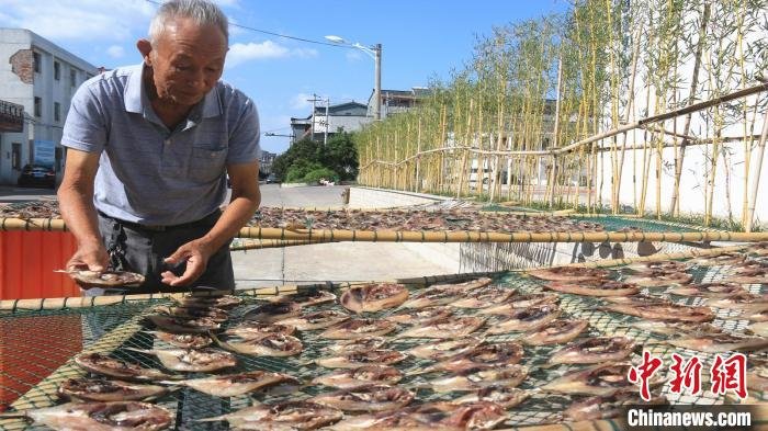 渔村村民正在“晒秋” 吴立高供图